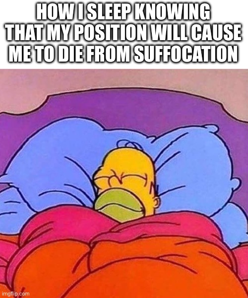 ahhhh…. | HOW I SLEEP KNOWING THAT MY POSITION WILL CAUSE ME TO DIE FROM SUFFOCATION | image tagged in homer simpson sleeping peacefully,sleep,funny memes,memes | made w/ Imgflip meme maker