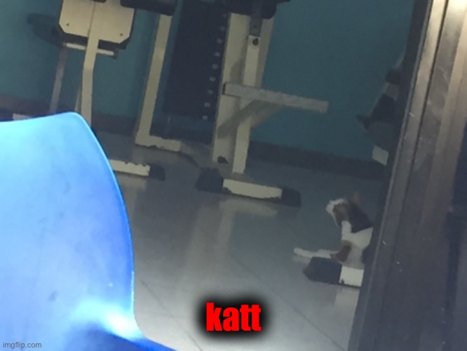 katt | made w/ Imgflip meme maker