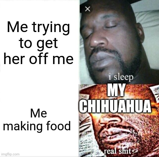 Sleeping Shaq | Me trying to get her off me; MY CHIHUAHUA; Me making food | image tagged in memes,sleeping shaq | made w/ Imgflip meme maker