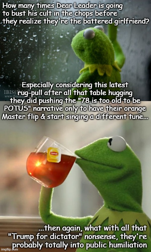 Not judging, just sayin' it's rather clockwork how the Trump-cult kids rail against perverts... in a projectionist sort of way | How many times Dear Leader is going to bust his cult in the chops before they realize they're the battered girlfriend? Especially considering this latest rug-pull after all that table hugging they did pushing the "78 is too old to be POTUS" narrative only to have their orange Master flip & start singing a different tune... ...then again, what with all that "Trump for dictator" nonsense, they're probably totally into public humiliation | image tagged in kermit window,memes,but that's none of my business | made w/ Imgflip meme maker