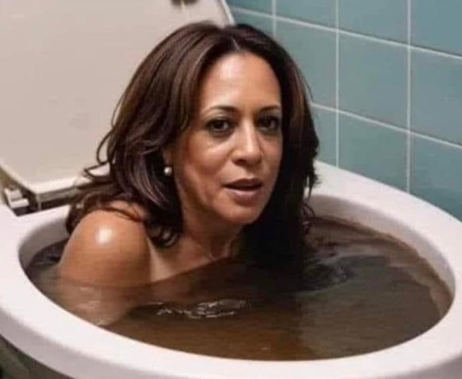 Kamala Blank Meme Template