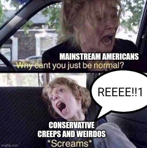 It's creepy and weird how conservatives lack the self-awareness to know how creepy and weird they are. | MAINSTREAM AMERICANS; REEEE!!1; CONSERVATIVE CREEPS AND WEIRDOS | image tagged in why can't you just be normal,creepy guy,weirdo,conservatives,mainstream media,normal | made w/ Imgflip meme maker