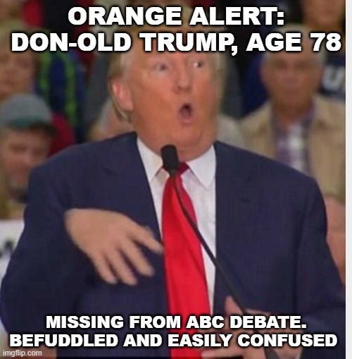 Trump missing | ORANGE ALERT: DON-OLD TRUMP, AGE 78; MISSING FROM ABC DEBATE.
BEFUDDLED AND EASILY CONFUSED | image tagged in don-old,debate,missing | made w/ Imgflip meme maker