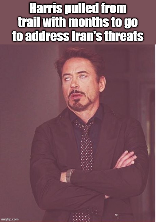 Now you get to see her in action? | Harris pulled from trail with months to go to address Iran's threats | image tagged in memes,face you make robert downey jr | made w/ Imgflip meme maker