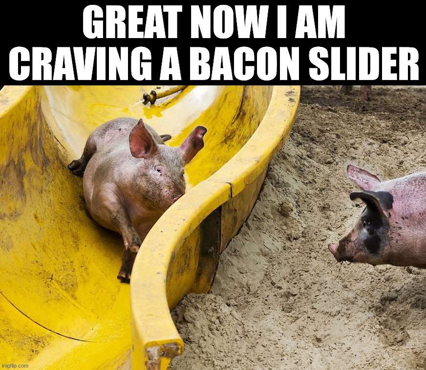 GREAT NOW I AM CRAVING A BACON SLIDER | image tagged in eyeroll | made w/ Imgflip meme maker