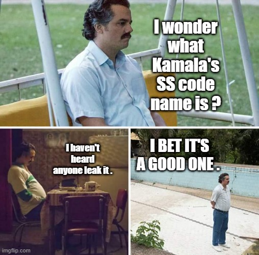?????????????????? KACKLES the Klown | I wonder what Kamala's SS code name is ? I haven't heard anyone leak it . I BET IT'S A GOOD ONE . | image tagged in memes,sad pablo escobar | made w/ Imgflip meme maker