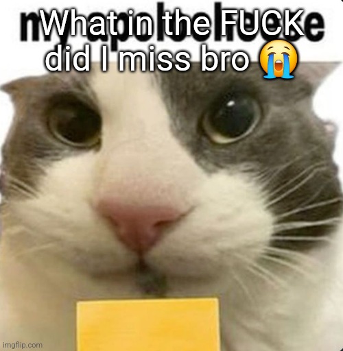 my apolocheese | What in the FUCK did I miss bro 😭 | image tagged in my apolocheese | made w/ Imgflip meme maker