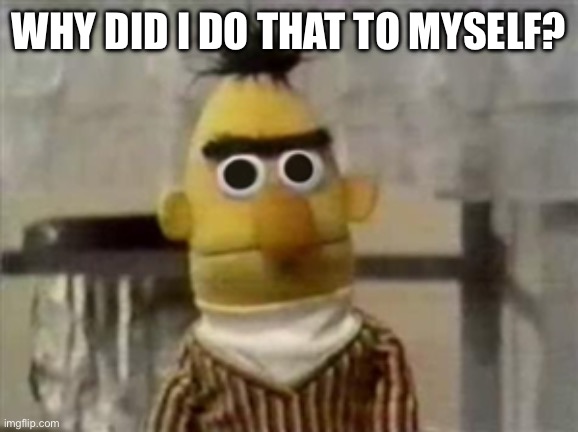 bert muppet what did i just see | WHY DID I DO THAT TO MYSELF? | image tagged in bert muppet what did i just see | made w/ Imgflip meme maker