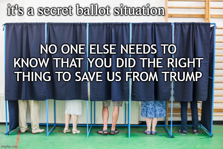 safe to vote your conscience | it's a secret ballot situation; NO ONE ELSE NEEDS TO KNOW THAT YOU DID THE RIGHT THING TO SAVE US FROM TRUMP | image tagged in voting booth | made w/ Imgflip meme maker