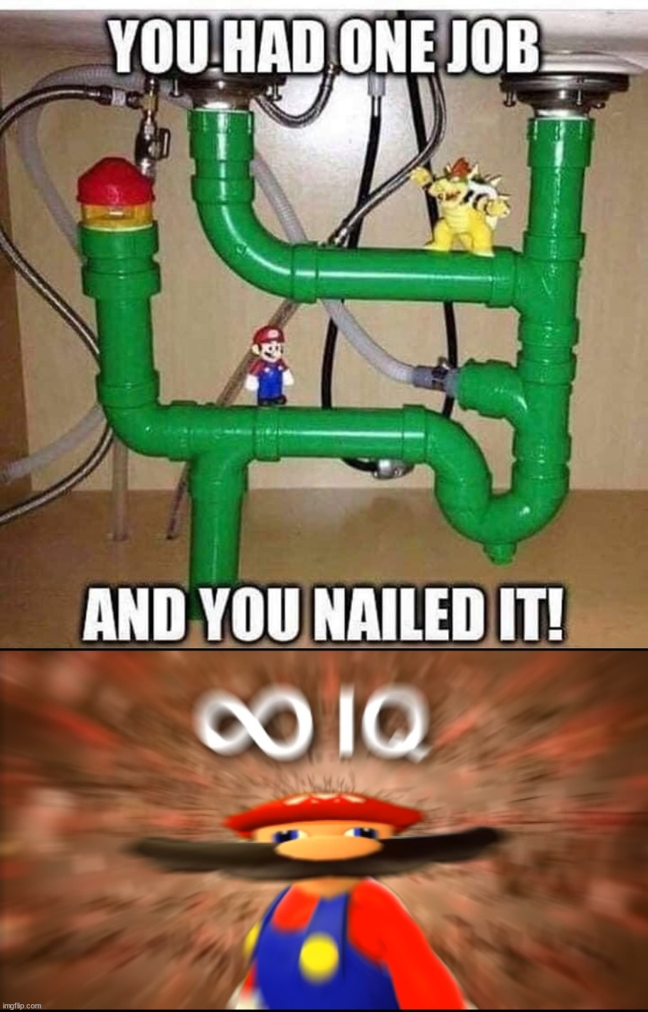 Perfection | image tagged in infinity iq mario,gaming,mario | made w/ Imgflip meme maker