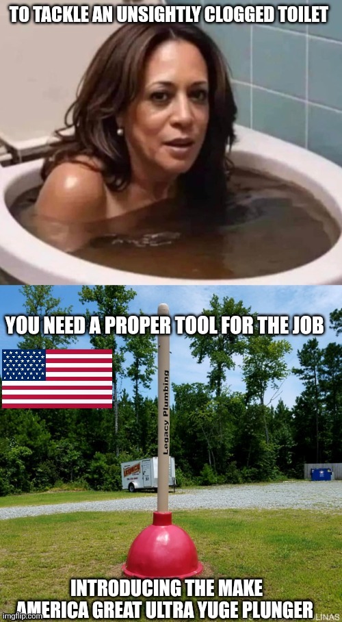 kamala harris | image tagged in toilet | made w/ Imgflip meme maker