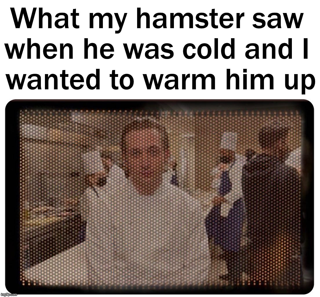 In my defense, he did get really warm | What my hamster saw 
when he was cold and I 
wanted to warm him up | image tagged in dark humor | made w/ Imgflip meme maker