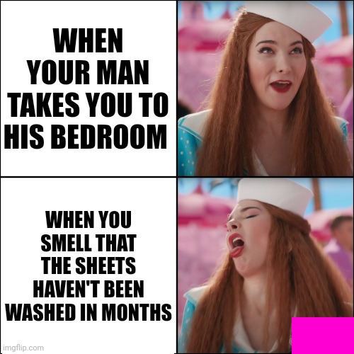 Gross Bed Sheets | WHEN YOUR MAN TAKES YOU TO HIS BEDROOM; WHEN YOU SMELL THAT THE SHEETS HAVEN'T BEEN WASHED IN MONTHS | image tagged in barbie | made w/ Imgflip meme maker