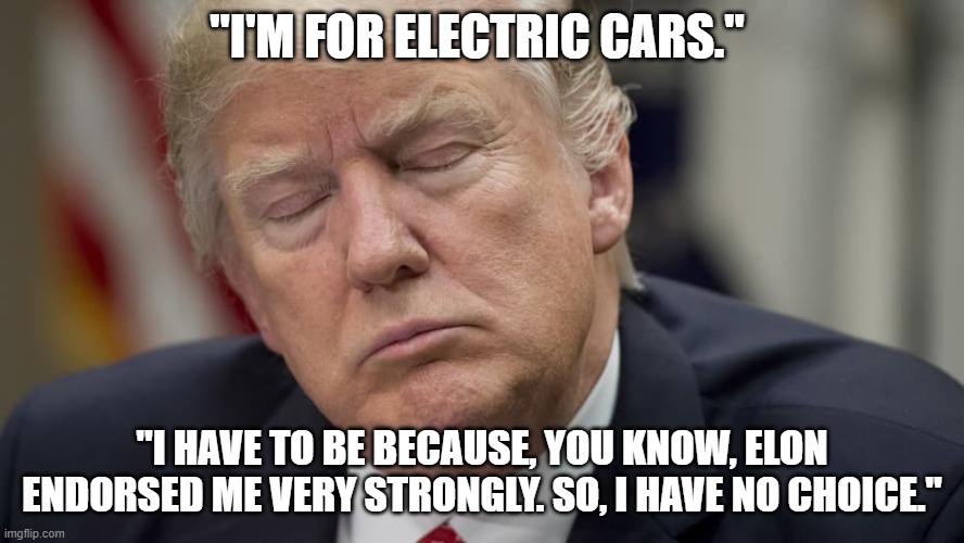 Tell Me You Can Be Bought . . . | "I'M FOR ELECTRIC CARS."; "I HAVE TO BE BECAUSE, YOU KNOW, ELON ENDORSED ME VERY STRONGLY. SO, I HAVE NO CHOICE." | image tagged in trump asleep eyes closed old man's nap time,elon musk,donald trump,weird | made w/ Imgflip meme maker