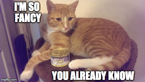 I'M SO FANCY YOU ALREADY KNOW | made w/ Imgflip meme maker