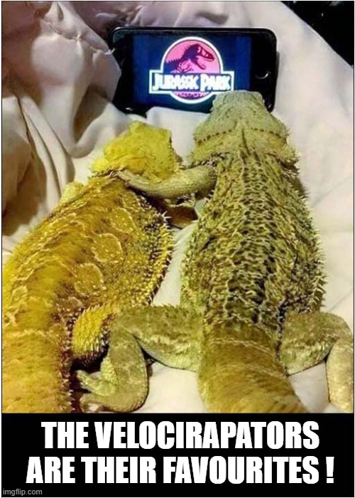 A Great Movie For Pet Lizards ! | THE VELOCIRAPATORS ARE THEIR FAVOURITES ! | image tagged in lizards,jurassic park,velociraptor | made w/ Imgflip meme maker