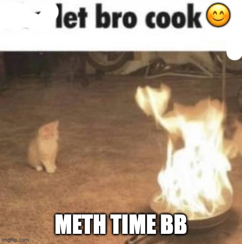 let him cook | ? METH TIME BB | image tagged in who let bro cook | made w/ Imgflip meme maker