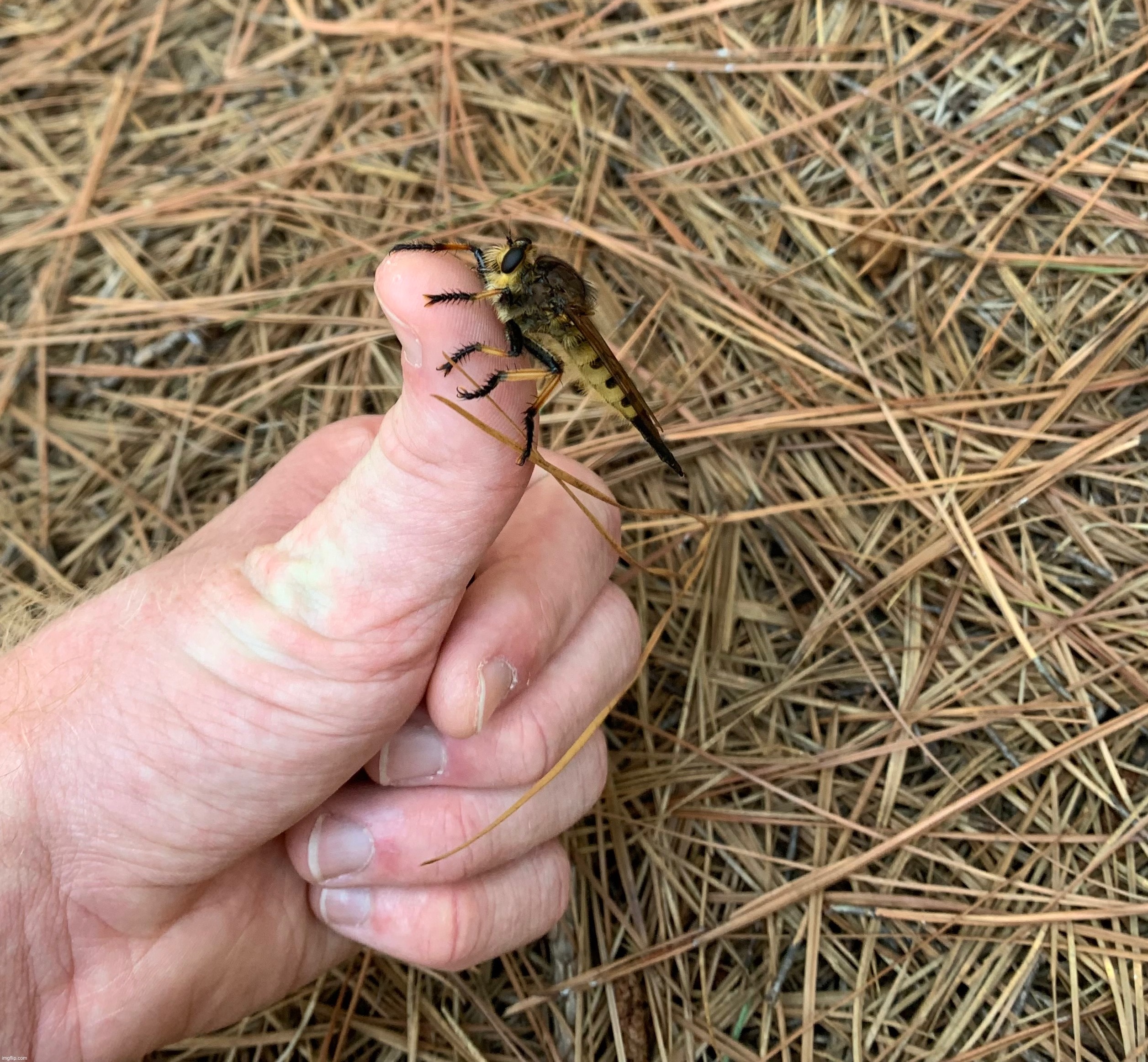 Large man | made w/ Imgflip meme maker