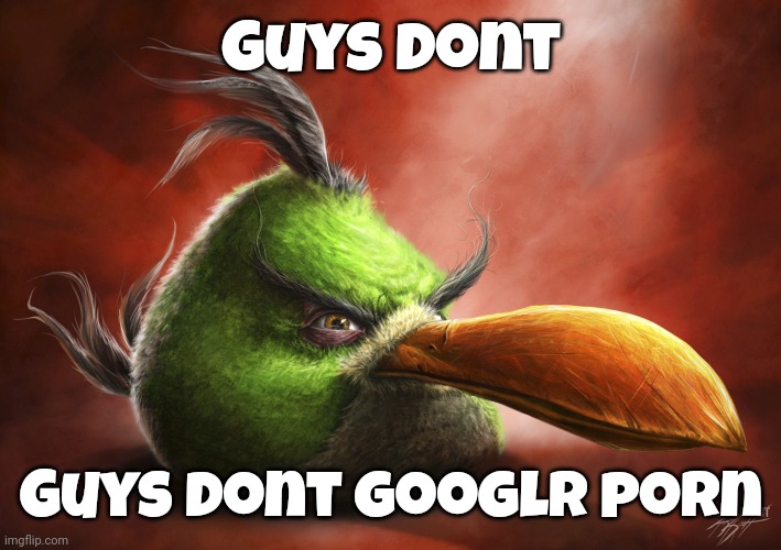 Realistic Angry Bird | Guys dont; Guys dont googlr porn | image tagged in realistic angry bird,google,cringe | made w/ Imgflip meme maker