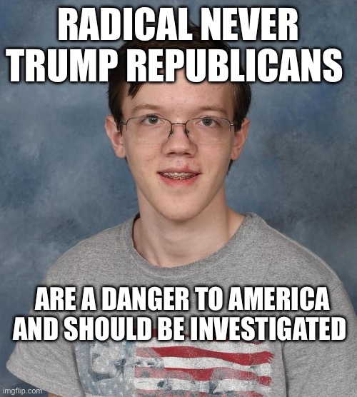 Never Trump | RADICAL NEVER TRUMP REPUBLICANS; ARE A DANGER TO AMERICA AND SHOULD BE INVESTIGATED | image tagged in thomas matthew crooks,donald trump,assassination,politics,political meme | made w/ Imgflip meme maker