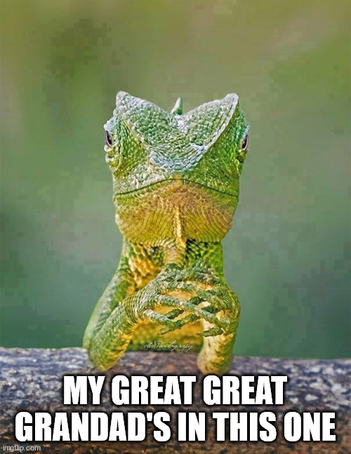 Sarcastic Lizard | MY GREAT GREAT GRANDAD'S IN THIS ONE | image tagged in sarcastic lizard | made w/ Imgflip meme maker