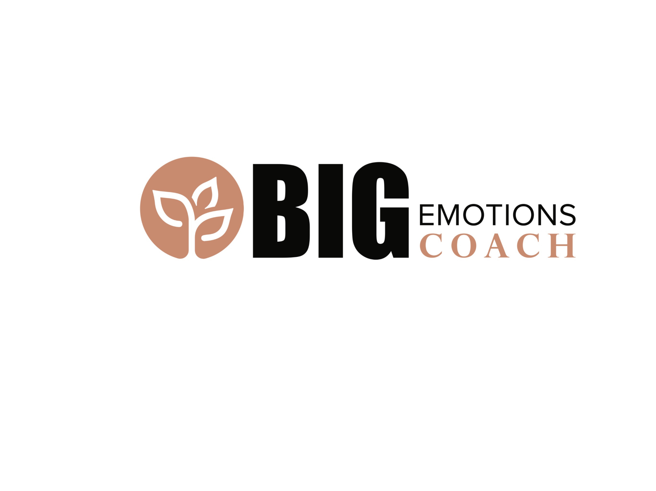 Big Emotions Coach Life Coaching Blank Meme Template