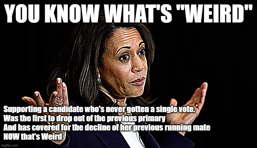 You know what's weird | YOU KNOW WHAT'S "WEIRD"; Supporting a candidate who's never gotten a single vote.
Was the first to drop out of the previous primary
And has covered for the decline of her previous running mate
NOW that's Weird | image tagged in weird,kamala harris | made w/ Imgflip meme maker