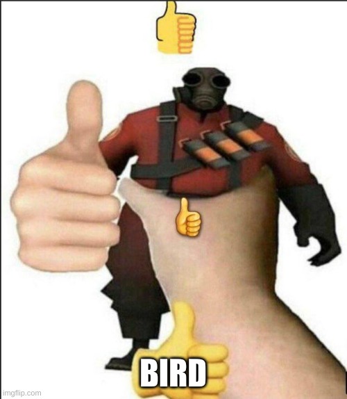 Pyro thumbs up | BIRD | image tagged in pyro thumbs up | made w/ Imgflip meme maker