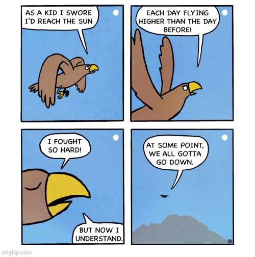 Reaching the sun | image tagged in birds,bird,sun,down,comics,comics/cartoons | made w/ Imgflip meme maker