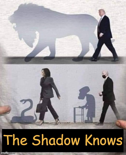 Hmmm... | The Shadow Knows | image tagged in political humor,donald trump,kamala harris,joe biden,so true meme,truth hurts | made w/ Imgflip meme maker