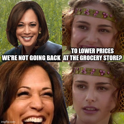 Robert F Kennedy Jr for President! | WE'RE NOT GOING BACK; TO LOWER PRICES AT THE GROCERY STORE? | image tagged in anakin padme 4 panel | made w/ Imgflip meme maker