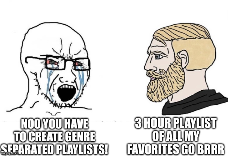 Soyboy Vs Yes Chad | NOO YOU HAVE TO CREATE GENRE SEPARATED PLAYLISTS! 3 HOUR PLAYLIST OF ALL MY FAVORITES GO BRRR | image tagged in soyboy vs yes chad | made w/ Imgflip meme maker