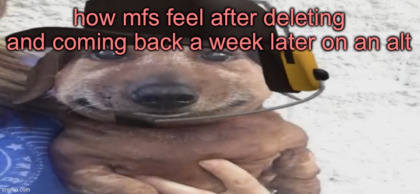 chucklenuts | how mfs feel after deleting and coming back a week later on an alt | image tagged in chucklenuts | made w/ Imgflip meme maker
