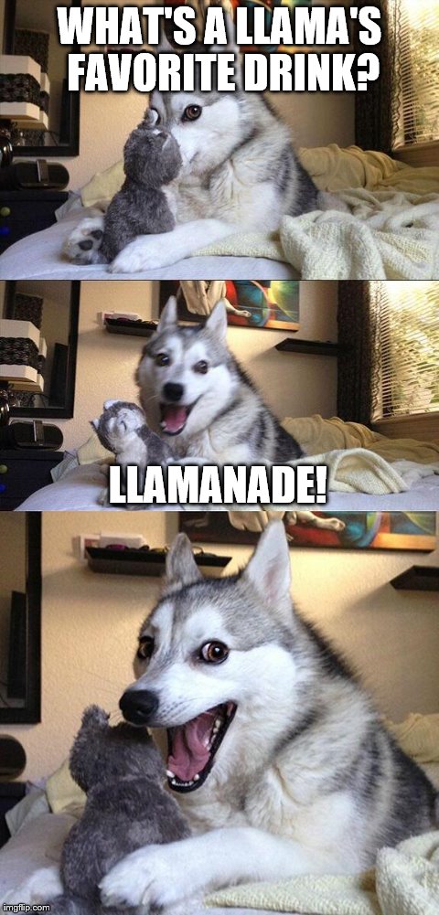 Bad Pun Dog | WHAT'S A LLAMA'S FAVORITE DRINK? LLAMANADE! | image tagged in memes,bad pun dog | made w/ Imgflip meme maker