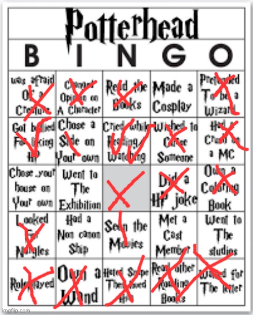 Double bingo bois! | image tagged in potterhead bingo | made w/ Imgflip meme maker