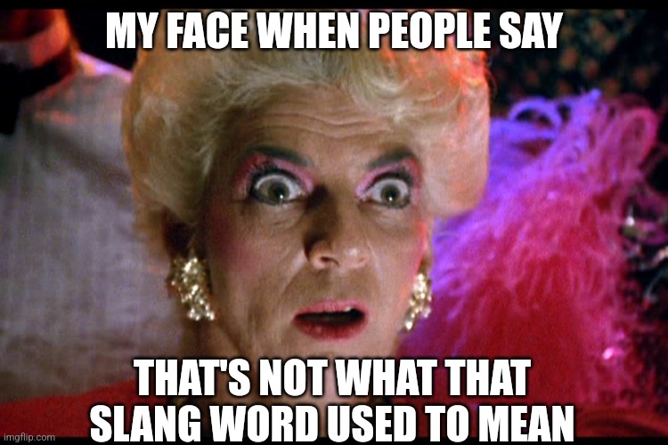 No New Words! | MY FACE WHEN PEOPLE SAY; THAT'S NOT WHAT THAT SLANG WORD USED TO MEAN | image tagged in strictly ballroom,new words,proscriptive language,language,slang,funny | made w/ Imgflip meme maker