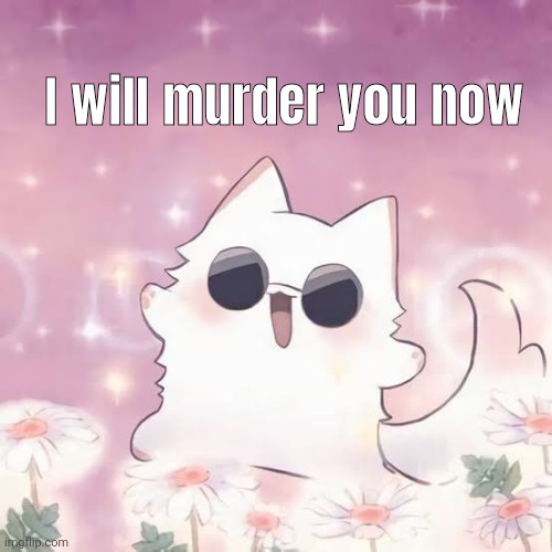 Gojo kitten | I will murder you now | image tagged in gojo kitten | made w/ Imgflip meme maker