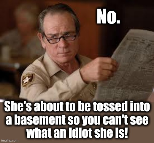 no country for old men tommy lee jones | No. She's about to be tossed into
a basement so you can't see
what an idiot she is! | image tagged in no country for old men tommy lee jones | made w/ Imgflip meme maker