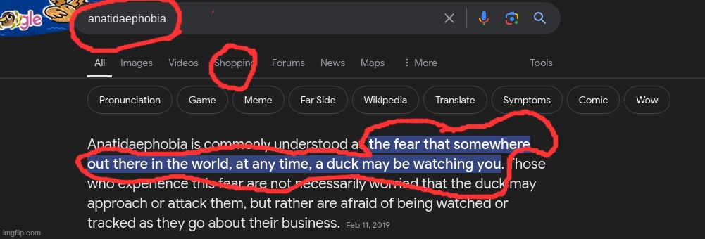 anatidaephobia | image tagged in anatidaephobia,anatidaephobia2,anatidaephobia3,anatidaephobia4,anatidaephobia5,anatidaephobia6 | made w/ Imgflip meme maker
