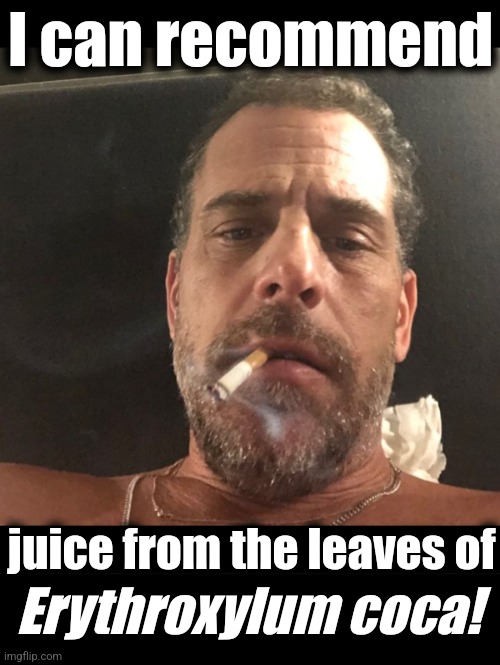 I can recommend juice from the leaves of Erythroxylum coca! | image tagged in hunter biden,blank black | made w/ Imgflip meme maker