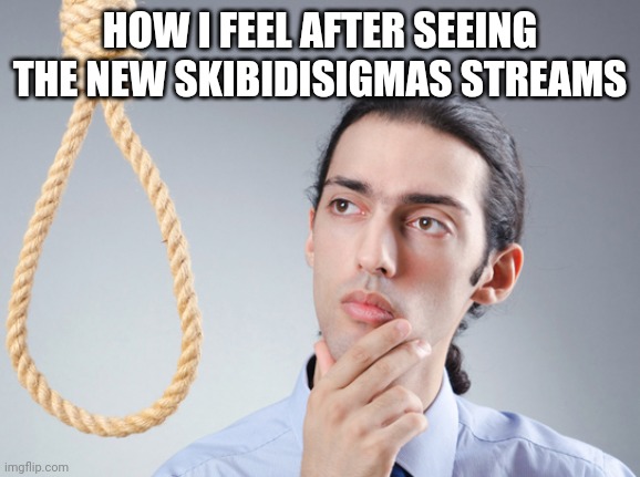 noose | HOW I FEEL AFTER SEEING THE NEW SKIBIDISIGMAS STREAMS | image tagged in noose | made w/ Imgflip meme maker