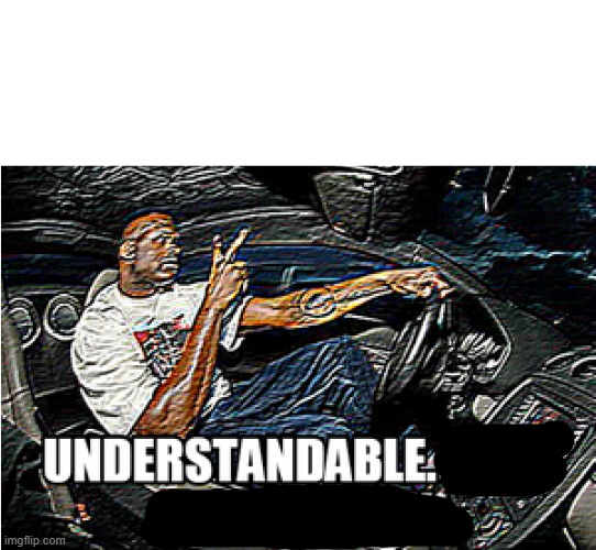 UNDERSTANDABLE, HAVE A GREAT DAY | image tagged in understandable have a great day | made w/ Imgflip meme maker