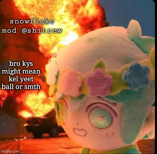 disaster basil | snowflake mod @shitrew; bro kys might mean kel yeet ball or smth | image tagged in disaster basil | made w/ Imgflip meme maker