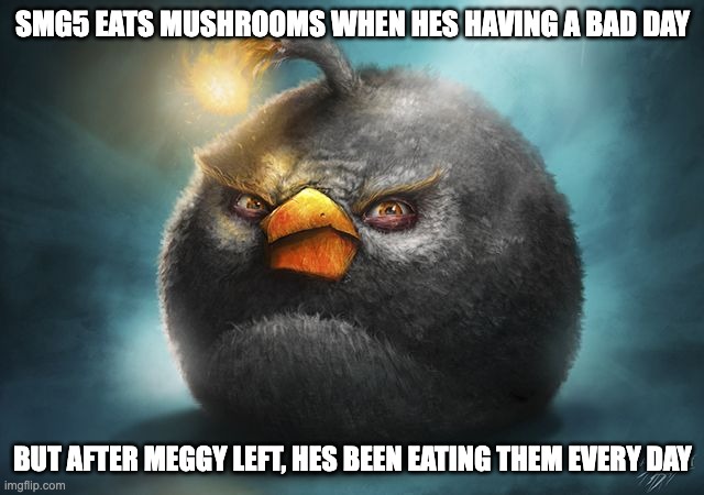 angry birds bomb | SMG5 EATS MUSHROOMS WHEN HES HAVING A BAD DAY; BUT AFTER MEGGY LEFT, HES BEEN EATING THEM EVERY DAY | image tagged in angry birds bomb | made w/ Imgflip meme maker