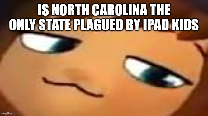 smug hat kid.mp4 | IS NORTH CAROLINA THE ONLY STATE PLAGUED BY IPAD KIDS | image tagged in smug hat kid mp4 | made w/ Imgflip meme maker