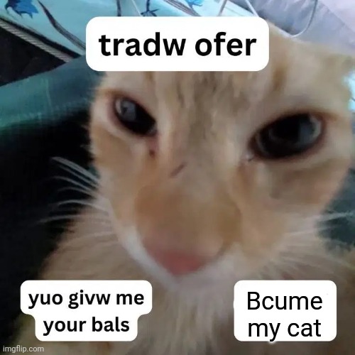 Don't answer for both | Bcume my cat | made w/ Imgflip meme maker