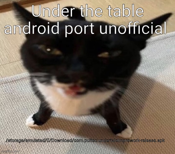 Cat of anger | Under the table android port unofficial; /storage/emulated/0/Download/com.pultec.undertalebnprework-release.apk | image tagged in cat of anger | made w/ Imgflip meme maker