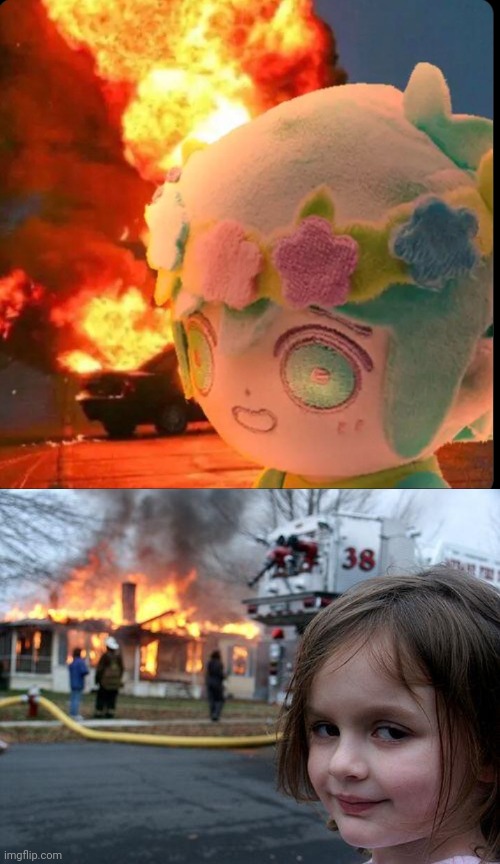 image tagged in disaster basil,memes,disaster girl | made w/ Imgflip meme maker