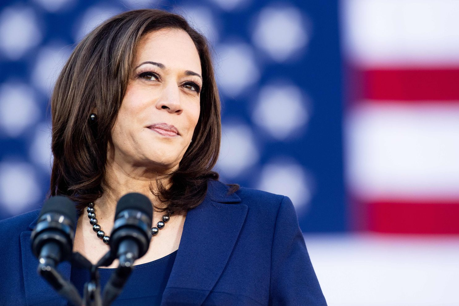 Kamala Harris Blank Meme Template