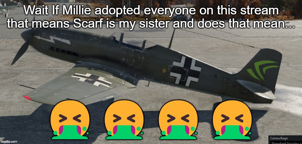 Nvidia plane | Wait If Millie adopted everyone on this stream that means Scarf is my sister and does that mean... 🤮🤮🤮🤮 | image tagged in nvidia plane | made w/ Imgflip meme maker